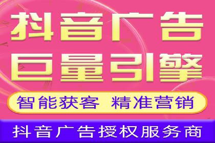 某行业巨头背后的SEM代运营服务公司